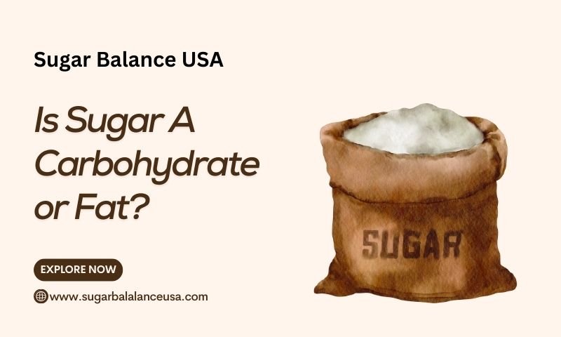 Is Sugar A Carbohydrate or Fat